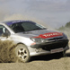 Rally Driving Experience